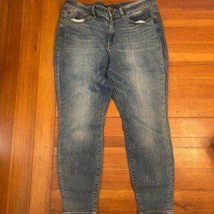Judy Blue Slim Fit skinny jean size 14W